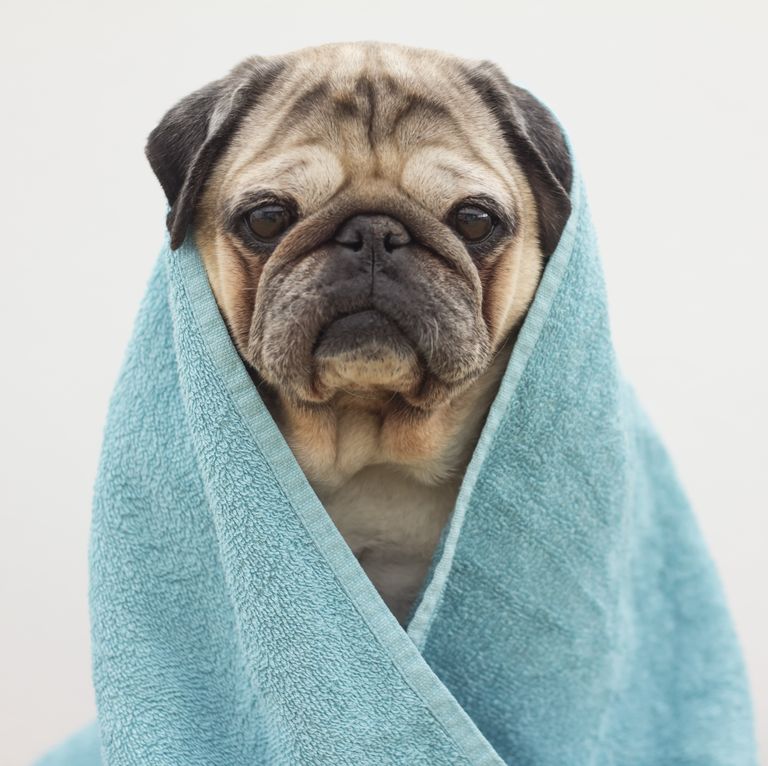 8 Reasons Why Your Eyes Are So Puffy—And What To Do About It, According To A Dermatologist