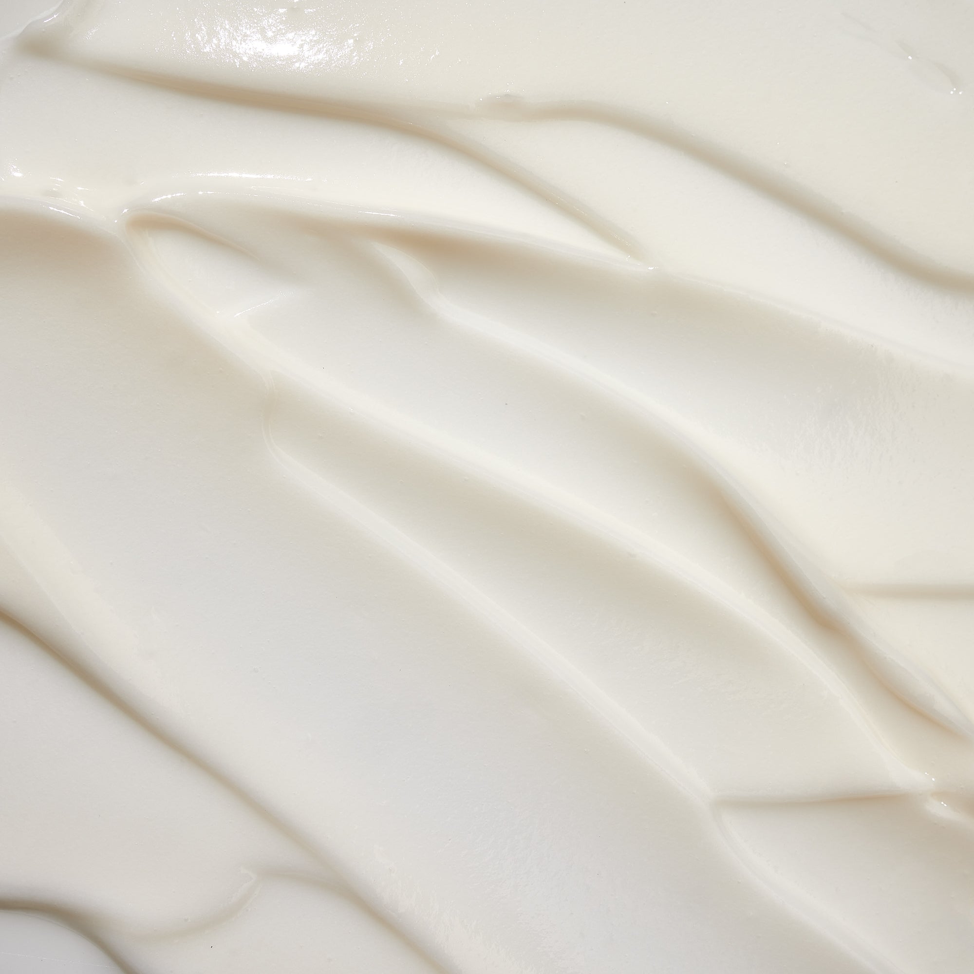 Close-up of creamy white texture of Dr. Zenovia Aloe Vera Moisturizer