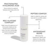  Infographic highlighting Hyaluronic Acid + Peptide Serum key ingredients (hyaluronic acid, peptides, antioxidants)